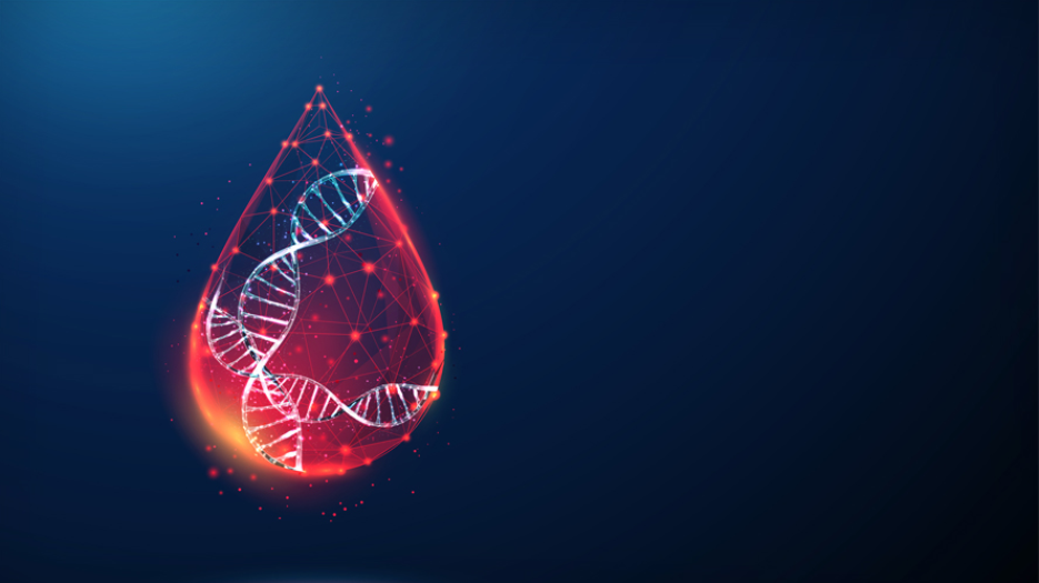 Illustration of blood drop in red with 2 DNA strands wound up inside it on a dark blue background